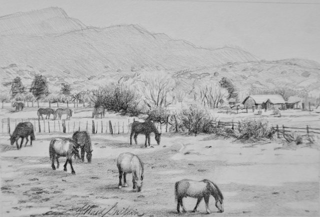 image-993856-Basalt_Horse_Ranch_6.5x10-c51ce.w640.jpg