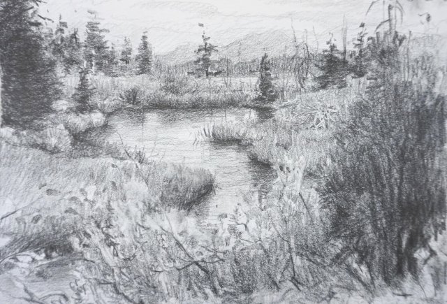 image-993872-Teton_Beaver_Pond_8x12-6512b.w640.jpg