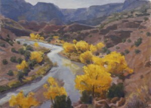 Yellow Cottonwoods near Abiquiu, NM