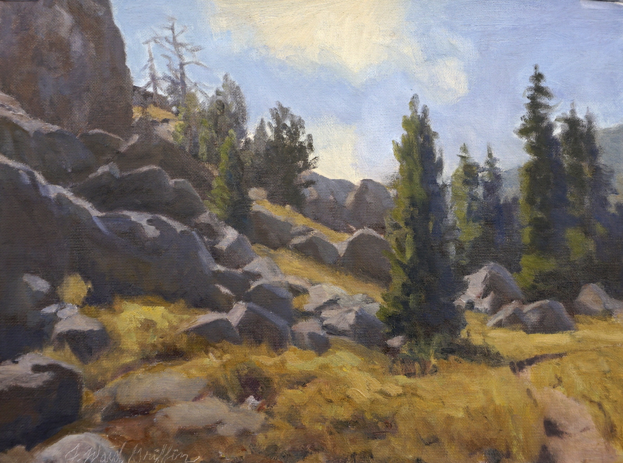 summer morning on a mountain trail