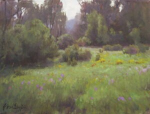 green meadow along a Colorado stream