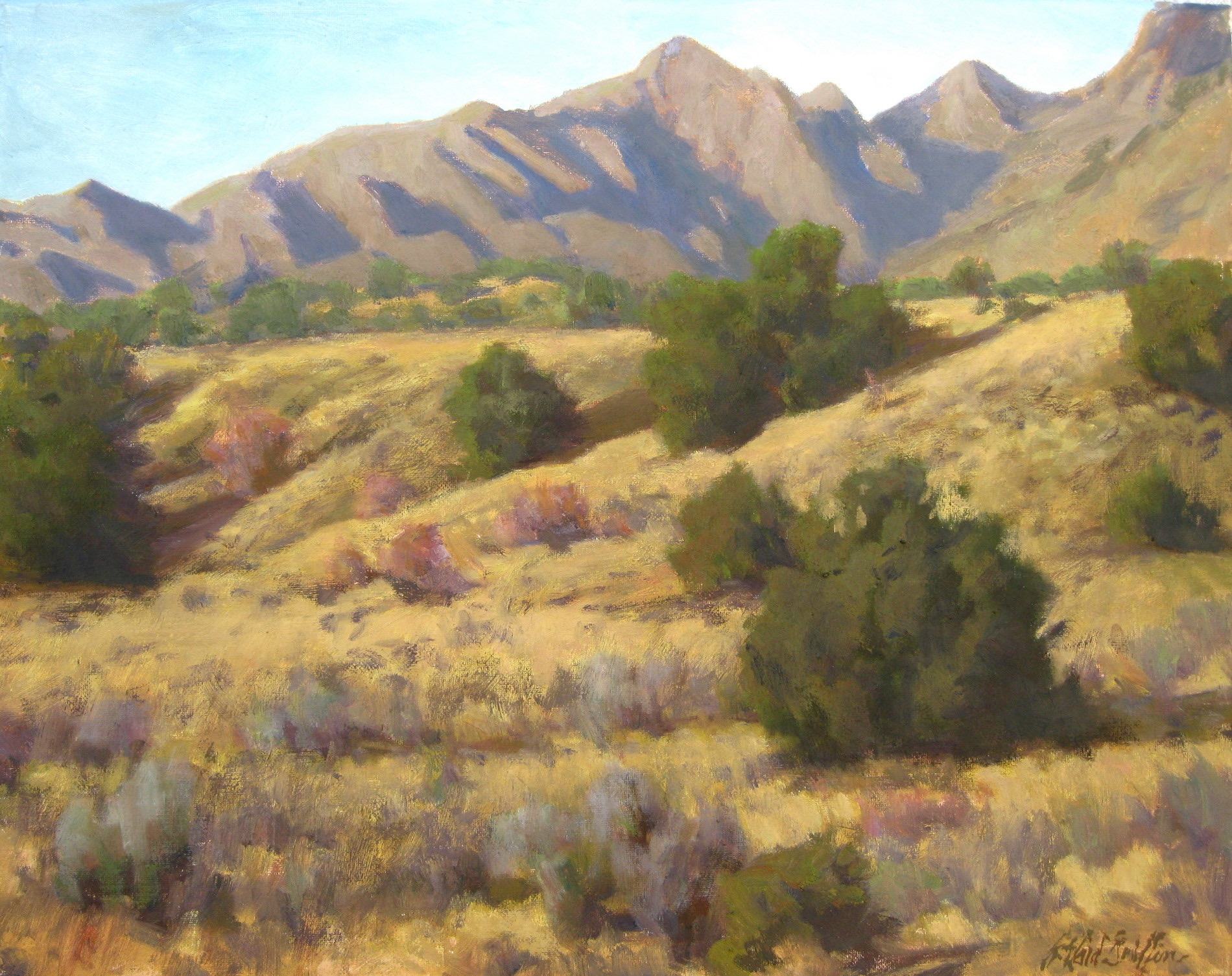 Yellow grass on the foothills of the Sandias in winter