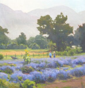 Lavender fields in the Rio Grande Valley
