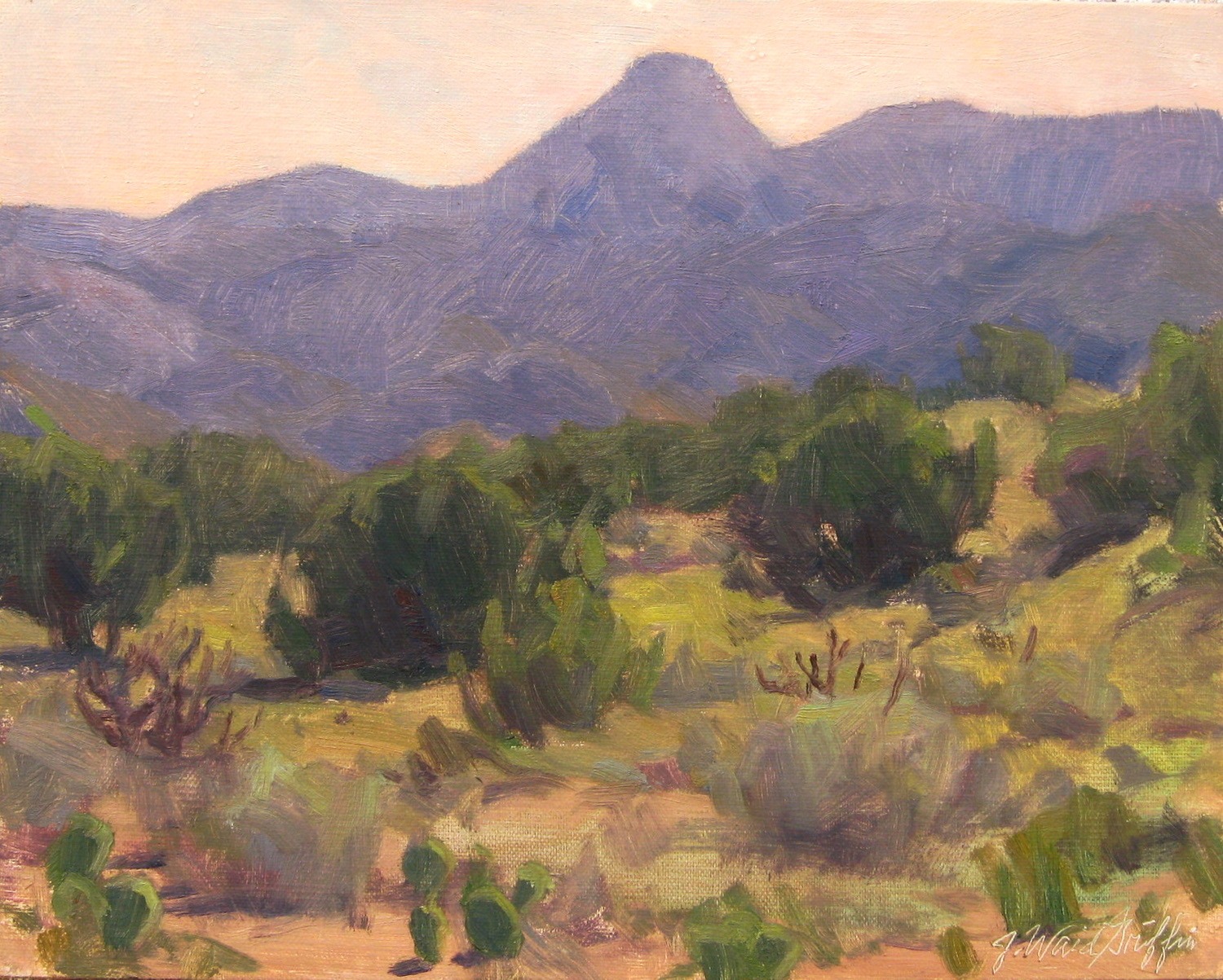 Sandia foothills early on a Summer morning