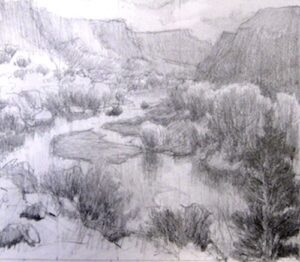 cottonwoods and tamarisk on the Rio Grande