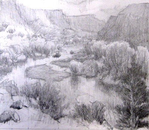 cottonwoods and tamarisk on the Rio Grande